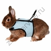 Шлейка-жилетка с поводком для кролика
