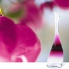 Kenzo Amour L'Eau