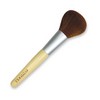 EcoTools Bamboo Powder Brush