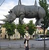 Висящий носорог