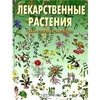 Определитель лекарственных растений