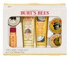 Burt's Bees Tips and Toes Kit