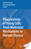 Phagocytosis of dying cells: from molecular mechanisms to human diseases