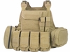 Pantac Plate Carrier