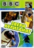 BBC Звери хулиганят