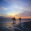 прогулка на лошадях по берегу моря