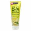 Freeman mint and lemon facial clay mask