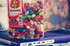 Jelly Belly Gourmet Beans 64oz 49 Different Flavors!