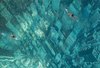 Поплавать в бассейне, на дне которого - наклейка с изображением Манхэттена с высоты птичьего полета (Индия)