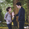 The Twilight Saga: Breaking Dawn - Part 2
