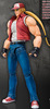 Terry Bogard