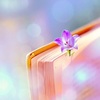 get my book published
