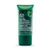 Tea tree pore minimiser