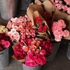 pink carnations