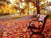 Побродить в одиночестве по осеннему желтому парку, посидеть на скамеечке, подышать прозрачной прохладой :)