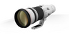 Canon EF 500mm f/4L IS II USM