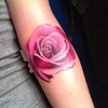 Rose tatoo
