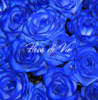 29 синих роз