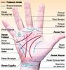 расшифровка ладоней рук у хироманта