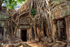 Хочу поехать в Камбоджи