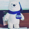White teddy bear olympics