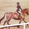 Horse riding training