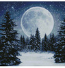 "Winter Moon"