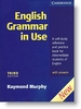 English Grammar in Use (Intermediate)