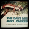 "The days are just packed: a Calvin & Hobbes colection"