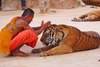 побывать в Xраме Тигров в Таиланде