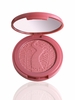 Amazonian clay 12-hour blush