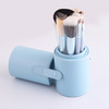 12pcs Pro Travel Makeup Cosmetic Brushes Set