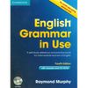 English grammar in use. Intermediate