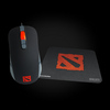 SteelSeries Kana Dota2 + Qck Mini Dota2