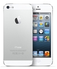 iPhone 5 16GB White