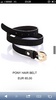 Black classy belt