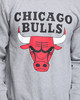 Толстовка Chicago Bulls