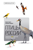 Птицы России: определитель всех видов птиц Российской Федерации  |  Храбрый Владимир  ,  Арлотт Норман
