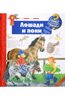 Андреа Эрне: Лошади и пони