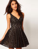 Elise Ryan V-Neck Lace Skater Dress