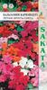 Семена Бальзамин Карнавал F1 Летние фрукты