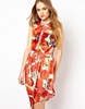 Jovonnista Tomato Print Dress