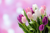 Букет тюльпанов на 8-ое марта
