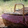 пикник с корзинкой