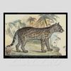 Natural History Poster