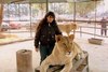 Посетить зоопарк аргентинского города Лухан