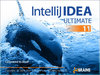 IntelliJ IDEA Personal License