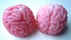 Brain Soap