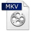 Смотрелку для MKV и MVO