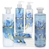 Marks & Spencer Iris Floral Collection